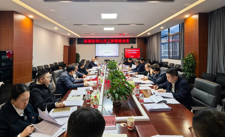 乐西公司召开十一月工作推进会