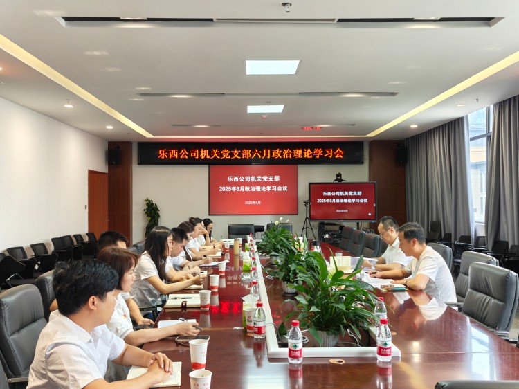 乐西公司机关党支部组织召开6月政治理论学习会