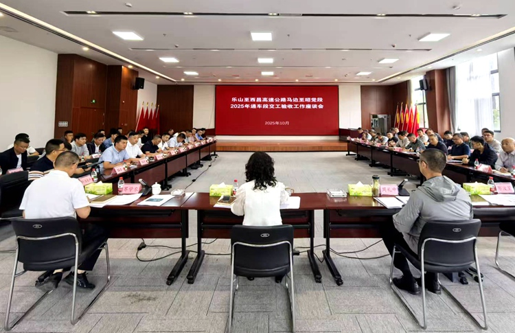 乐西项目攻坚冲刺：多项工作齐头并进，确保按期建成通车