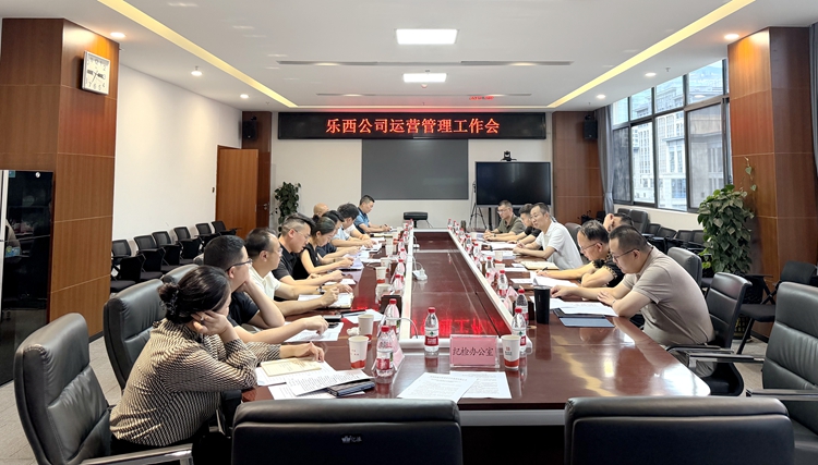 乐西公司专题传达蜀道集团、川高公司督导工作要求
